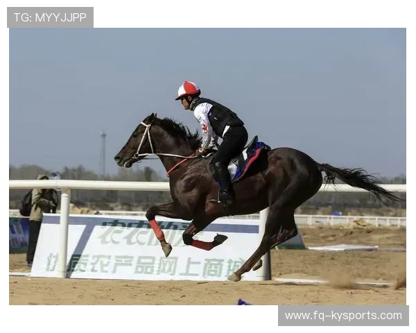 哥伦比亚马术协会与国际马术联合会合作，举办国际马术交流活动，促进技术交流。